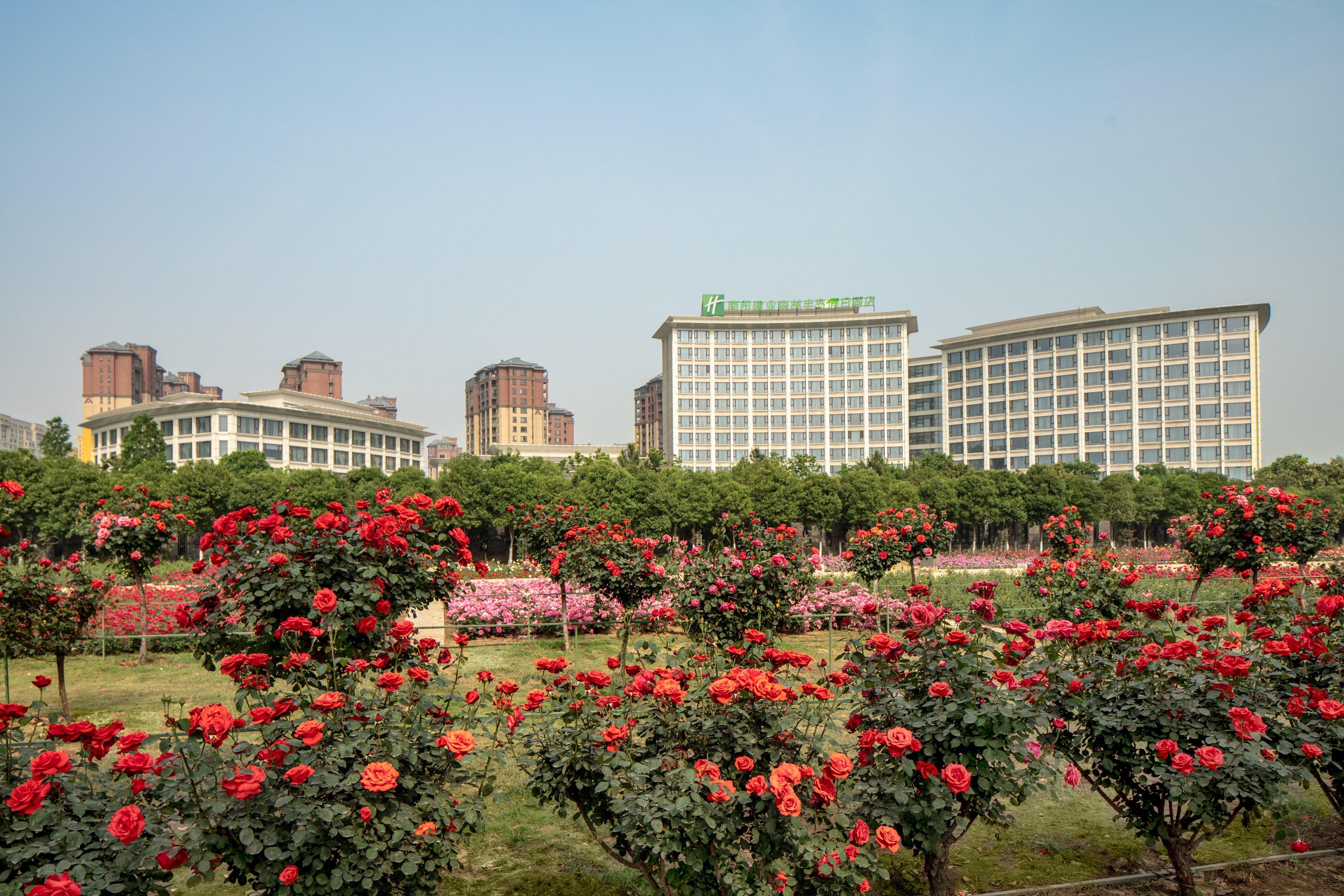 Holiday Inn Nanyang By Ihg Buitenkant foto