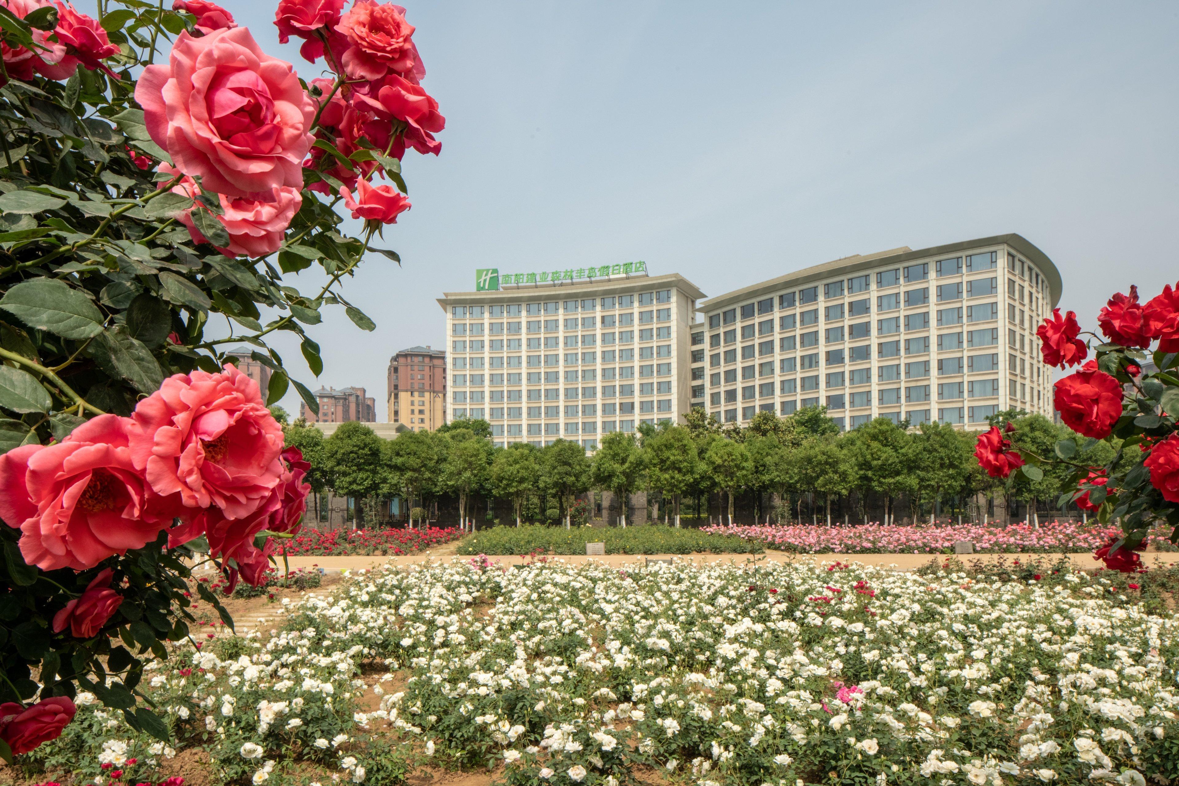 Holiday Inn Nanyang By Ihg Buitenkant foto